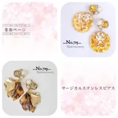 あきちゃん様 リクエスト 2点 まとめ商品　サージカルステンレスピアス