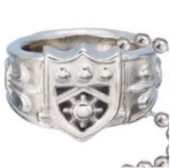 家庭教師ヒットマンREBORN! ボンゴレリングコレクション 晴のリング