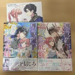 黒竜陛下の政略花嫁 2巻セット