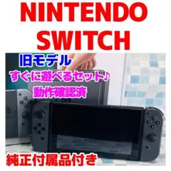 Nintendo Switch 本体 グレー 純正付属品セット A-1300