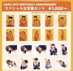 HARU 19TH BIRTHDAY ANNIVERSARY 生写真セット