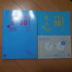 民法1総則＋民法2物権　判例30!