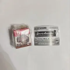 サンリオ ミニチュアパッケージコレクション