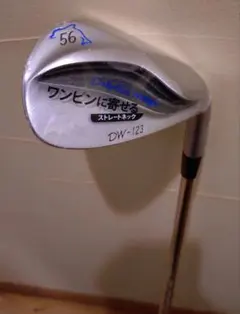 2026年最新】ドルフィンウェッジ 56の人気アイテム - メルカリ