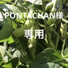 PONTACHAN様　専用です 山菜　野菜
