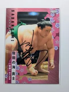 Item thumbnail for item 279a00d2-a2a0-40bd-b0b8-ce81be4e8e69