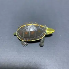 カメ　お値下げ