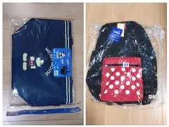 ディズニー リュック＆保冷バックのSET
