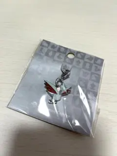 新品未開封 ポケモン 全国ずかんメタルチャーム エアームド