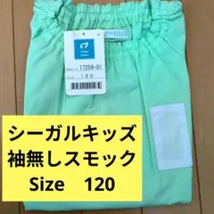 Item thumbnail for item 68be3514-01c4-42c4-b02a-fe8db5a657f8