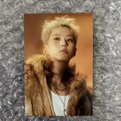 SEVENTEEN SEASON'S GREETING ホシ　トレカ