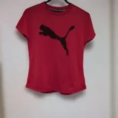 PUMA レッド Tシャツ