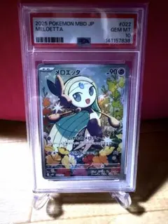 メロエッタ PSA10