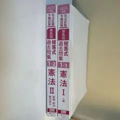 Item thumbnail for item 21da2451-28fe-470f-86d9-502384d22ca0