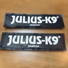 JULIUS K9 交換用ラベル 2枚セットのサムネイル