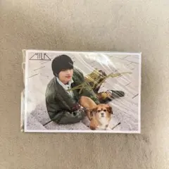 佐野勇斗 25歳 生写真 サイン付き 20枚セット