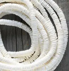 ＊white shell