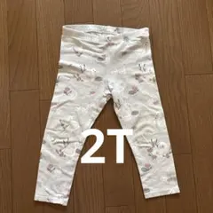 レギンス　2T