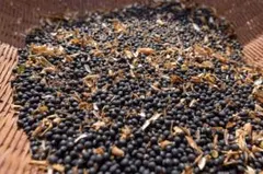 黒千石大豆　50粒のサムネイル