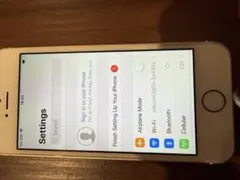 Apple iPhone 5s 本体 充電器・イヤフォン付き