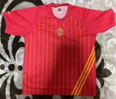 新品・正規品・限定210枚】W杯・日本代表メモリアルユニフォーム・L