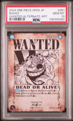 2025年最新】バギー 手配書 psa10の人気アイテム - メルカリ