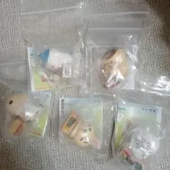 ちいかわ　いっしょにがんばろ！　ダンボールウォッチ3 全5種セット