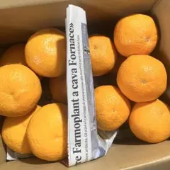 びっくり様専用♡