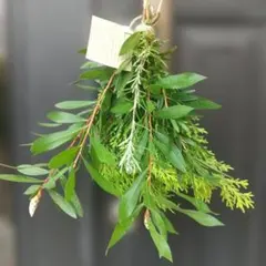 ナチュラルハーブスワッグ約３０cm