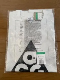 NIKE ACG TEE XLサイズ