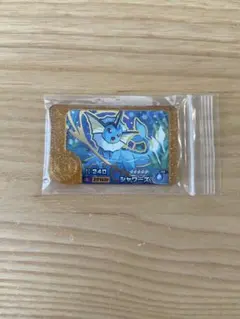 ディグダ様 リクエスト 2点 まとめ商品