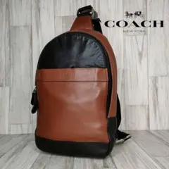 50 COACH コーチ　レザー　ボディーバッグ