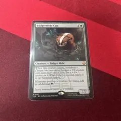 2025年最新】アナグマモグラの仔の人気アイテム - メルカリ