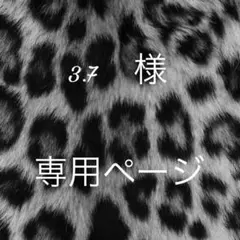 3.7 様　専用ページ