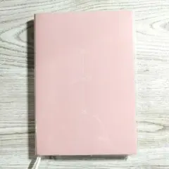 Item thumbnail for item f6e85a66-1634-404e-9163-2109d7cdc587