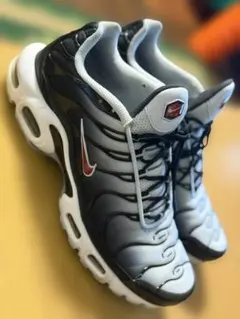 Nike Air Max Plus US 9