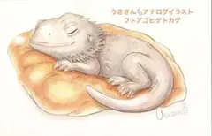 うささん*手描きイラスト(アナログイラスト)フトアゴヒゲトカゲ オリジナル