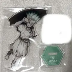 Dr.STONE 石神千空 レイニーデイくじ アクスタ