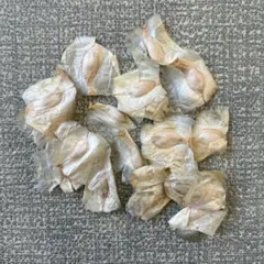 「新入荷」10粒種子ウェルウィッチア・ミラビリスのサムネイル