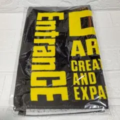 da-ice entrance tシャツ