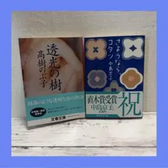 ＊2冊　文庫本2冊セット　C