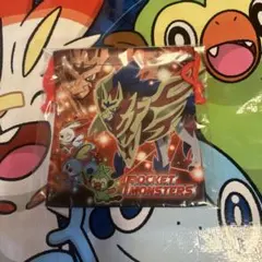 ポケモン　巾着　ザマゼンタ　メッソン　ヒバニー　サルノリ