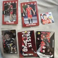 日本代表バレーボール 小川智大　小野寺太志　富田将馬　山本智大　西田有志　カード