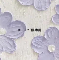ゆー✩.*˚様専用