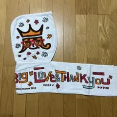 嵐フェス2013 フードタオル