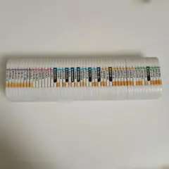 ポケモンメザスタ グレード4のタグ 53枚セット