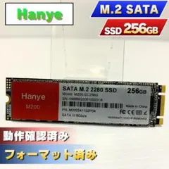Hanye M.2 SATA SSD 256GB 本体【0132】