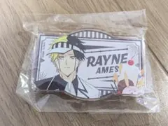 レイン・エイムズ ネームプレート風アクリルバッジ マッシュル 巨大ガラポンB賞