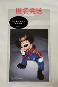 ディズニー 写真セット 実写 ミッキー