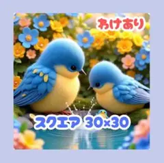 【訳あり】No.1251 ダイヤモンドアートキット スクエア 鳥